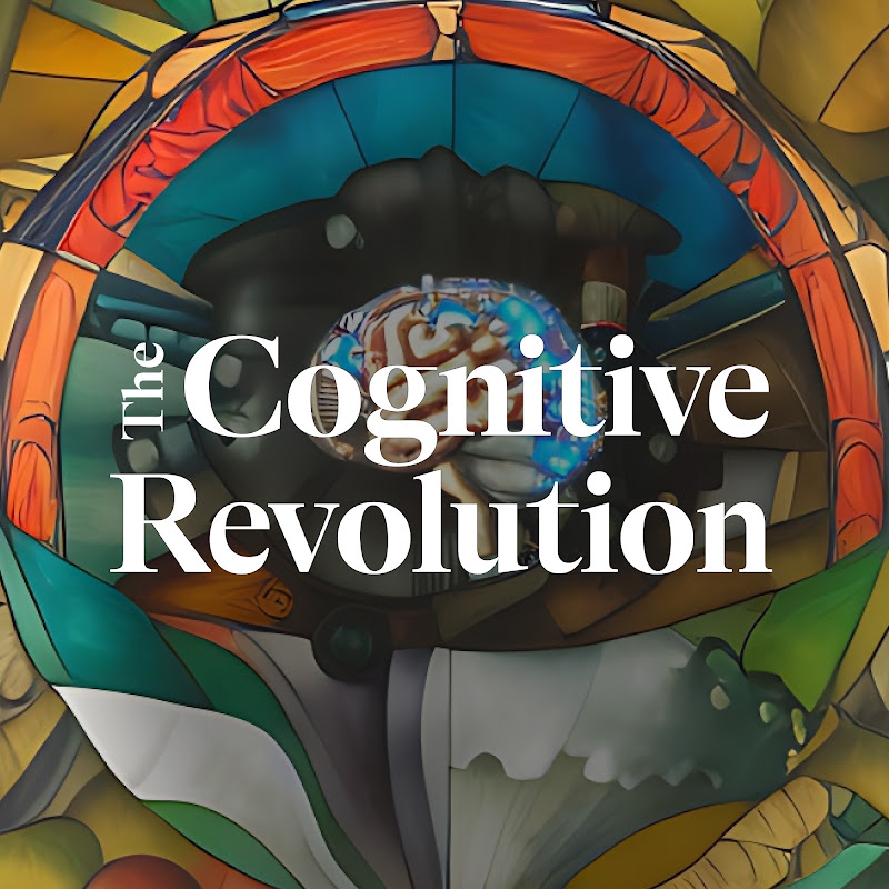 Cognitive Revolution "How AI Changes Everything"